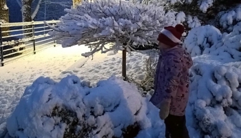 Zaķīts pūta ledus tauri, Ziemassvētkus vēstīdams. Skan Ziemassvētku dziesmas