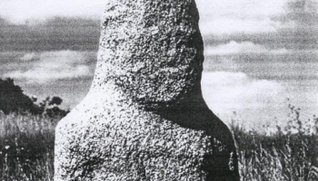 Pus dzīve