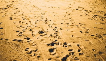 Jelgavā notiks starptautiskais smilšu skulptūru festivāls "Sand Signs 2025"