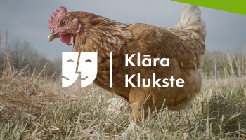 Klāra Klukste. 21. stāsts "Cipiņa Čiepste atrod cirku"